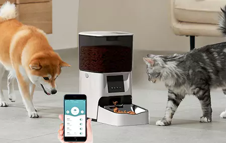 Principio dell'alimentatore automatico per animali domestici