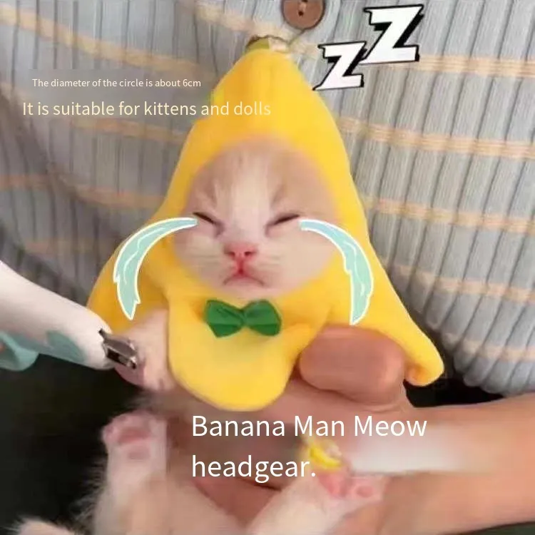 Banana cat Snapper braised pineapple Christmas tree headgear