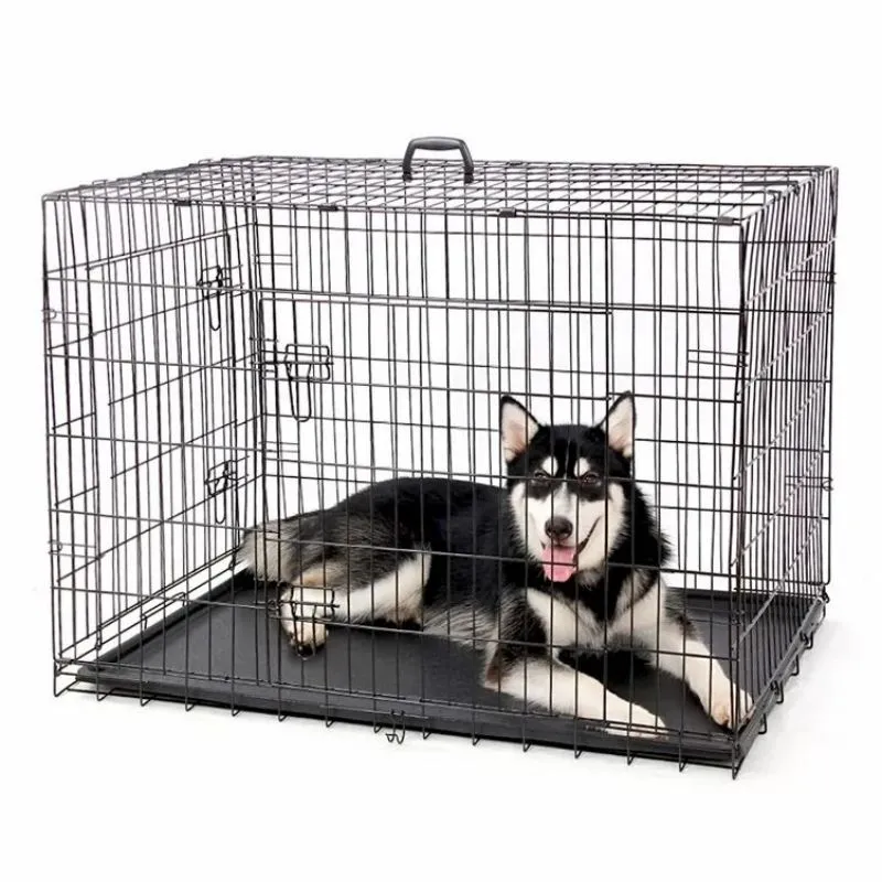 Big Strong Dog Iron Cage