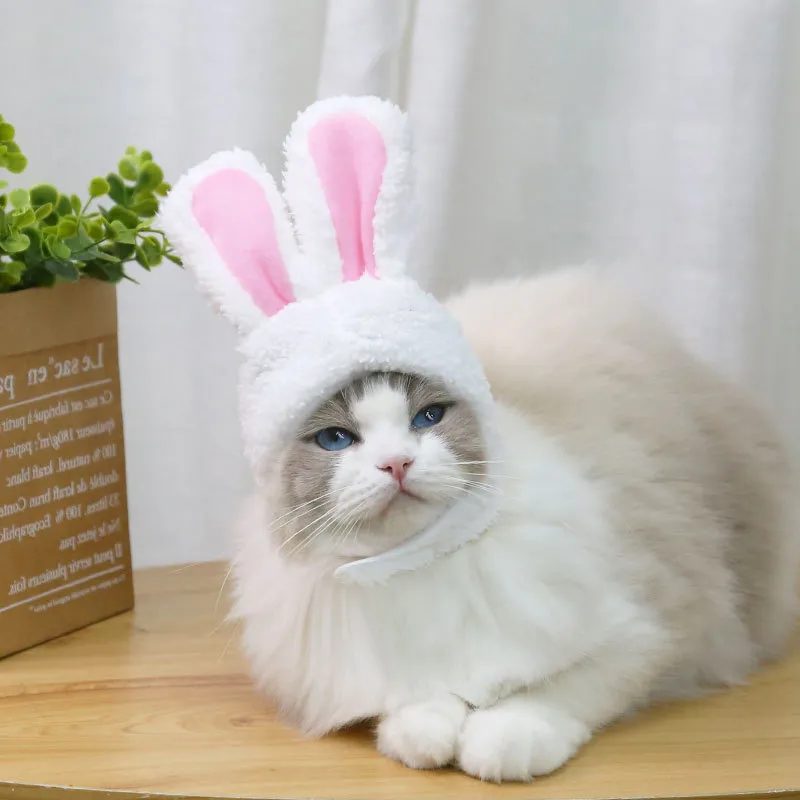 Cat rabbit hat cute ears cartoon funny headdress