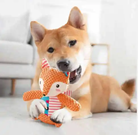 Cute Dog Toys Durable Training Plush Dog Toy