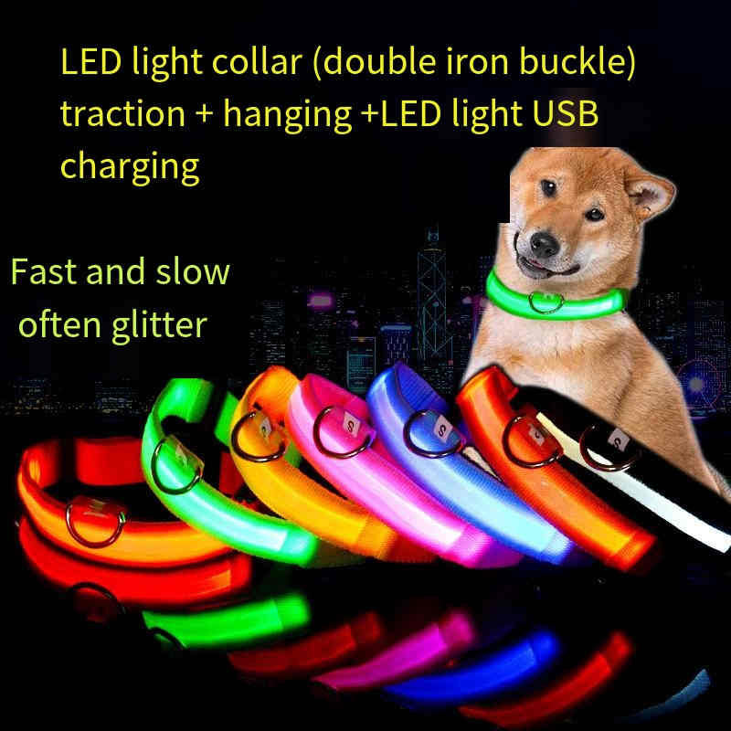 Dog LED collar lights up at night