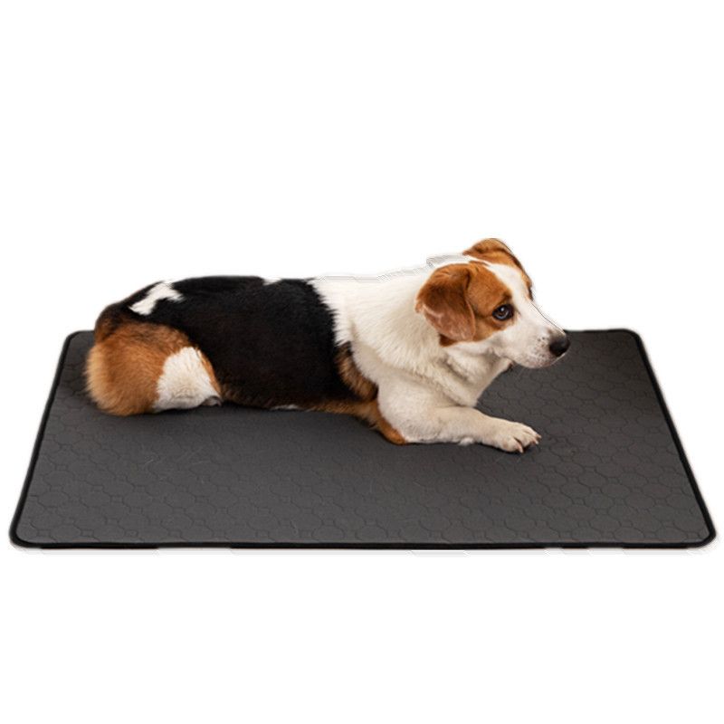 Dog-Thickened Diaper Pads for Dehumidification and Deodorization