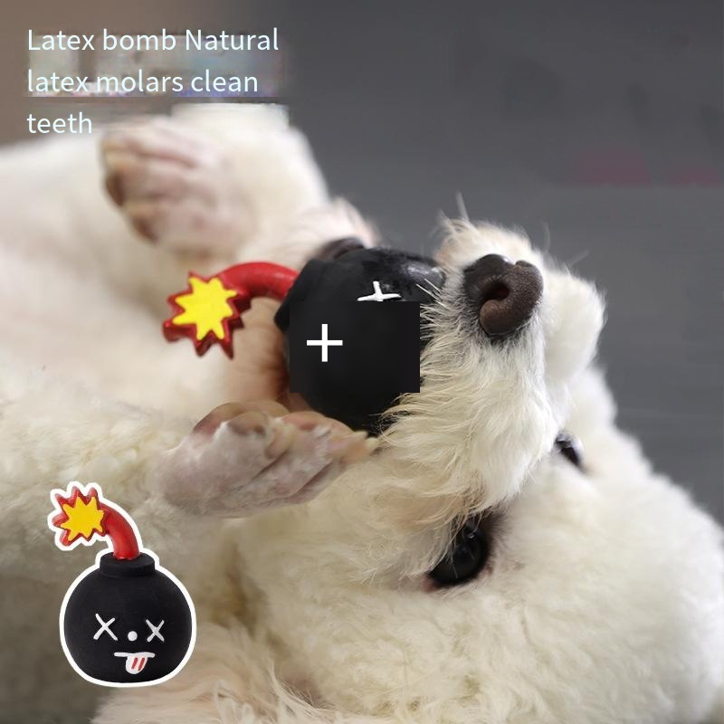 Gnawing sonic latex bomb pet toy