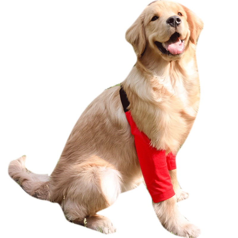 Knee and elbow pads for medium and large dog pets