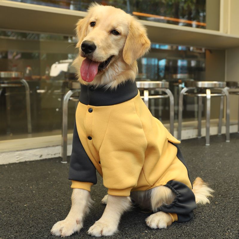 Палто за големи домашни кучета