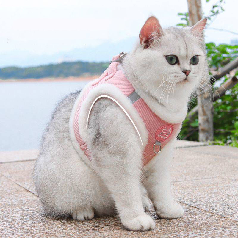 New Autumn and Winter Cat Leash