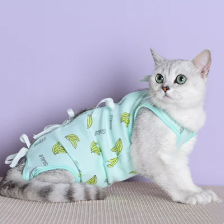 Post-Operative Pet Recovery Kit Pet Cat Costume