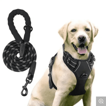 Retractable Leash Dog Back High Quality Nylon Material Large Dog