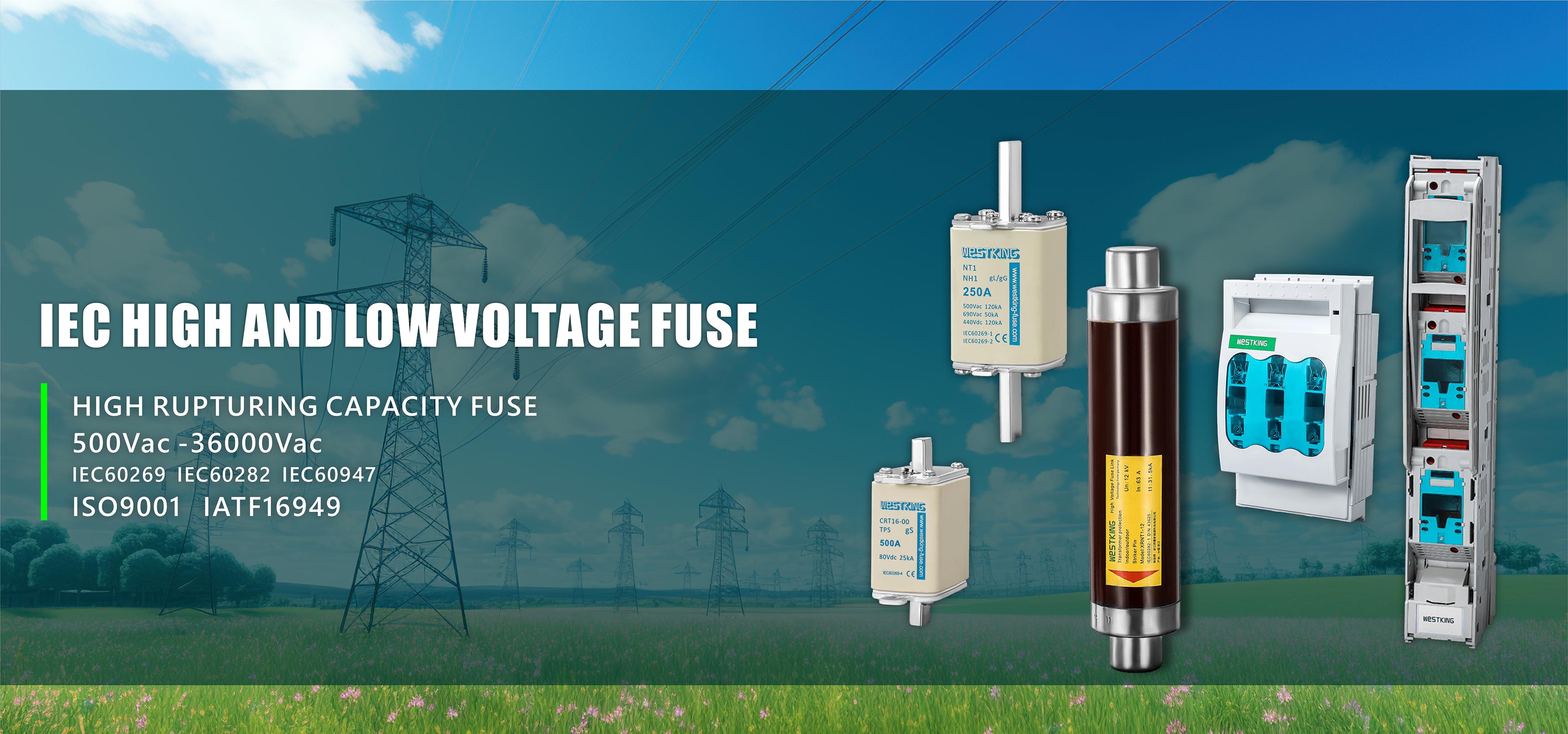 Customized IEC Low Voltage Fuse