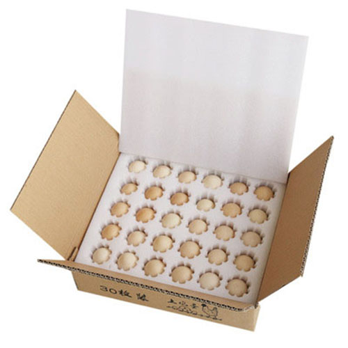 Buchförmige Verpackungsbox mit EPE-Einsatz