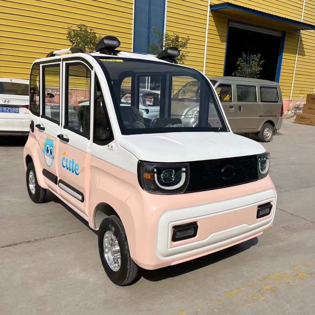 Customized Low speed electric vehicle
