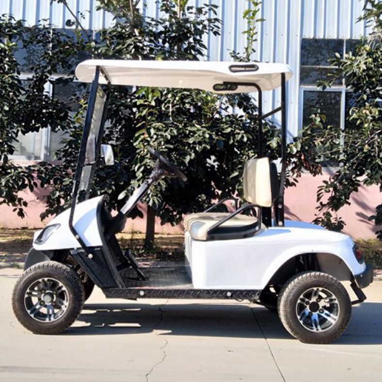 Two seat mini electric golf course car - 1