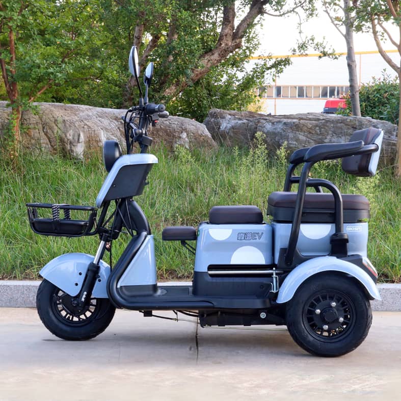 Small household electric vehicle - 1 