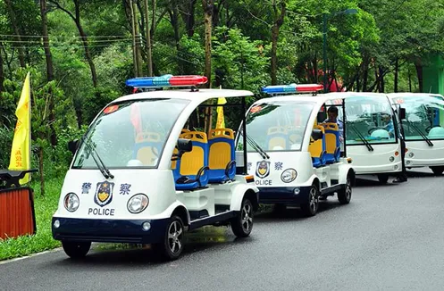 Carro de patrulha elétrico pequeno, bem-vindo para personalizar