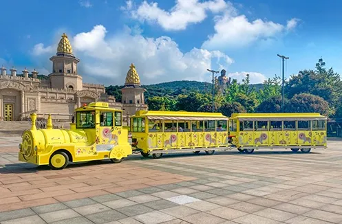 Trem elétrico de baixa velocidade personalizado e carro de turismo elétrico com tema de local panorâmico