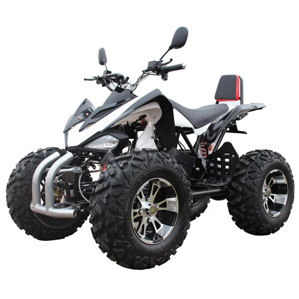 4WD beach motorcycle - 2 