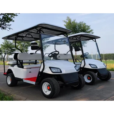 KPEVG-2+2 Golf Carts
