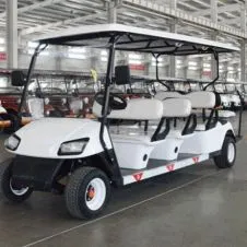 KPEVG-6+2 Golf Carts