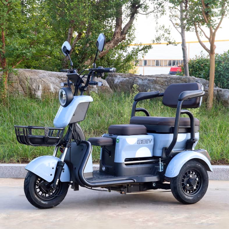 Small household electric vehicle