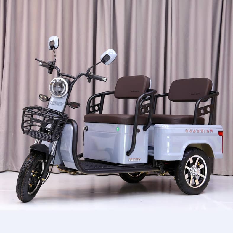 Tricycle for the elderly
