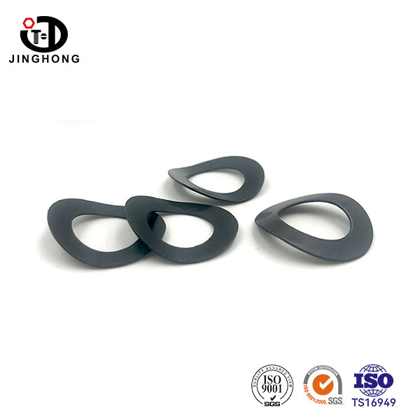Curved Spring Washers