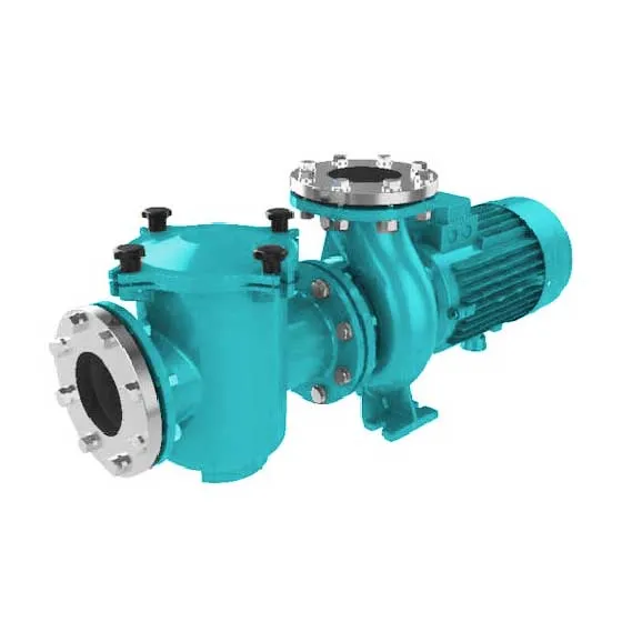 NF Pool Pump