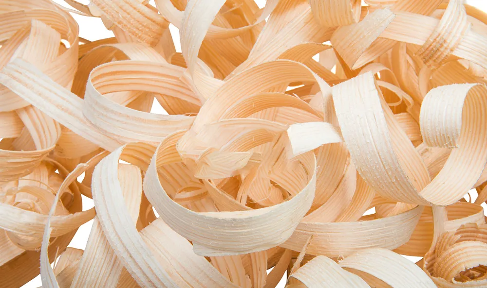 木質ペレット製造ラインを導入。