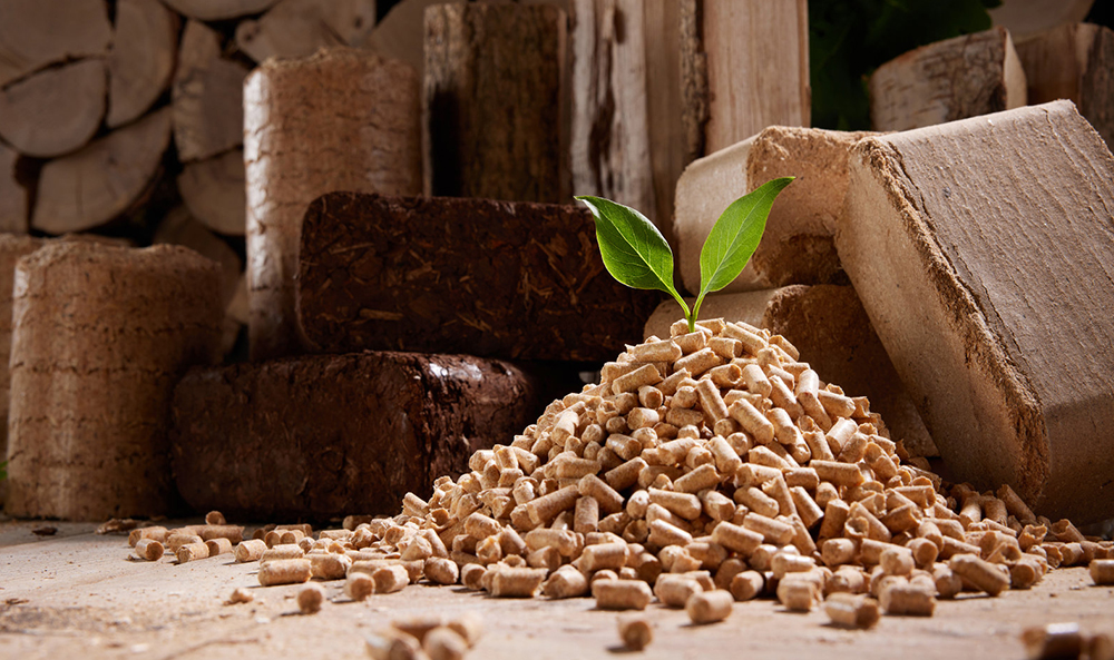 What should be investigated before investing in biomass pellet projects?