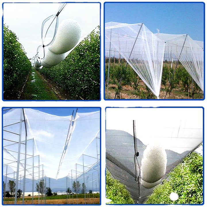 Fruit Tree Plastic Netting Hagel Protection Anti-Hail Net