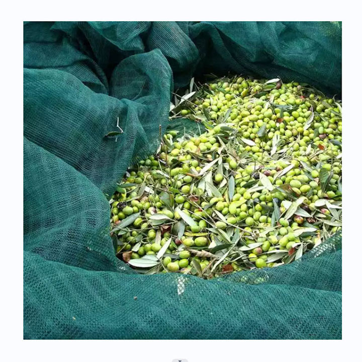 Oogstolijfnet HDPE gebreid groen olijfnet