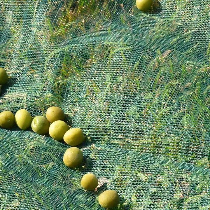 New Arrival Olive Nets for Collection
