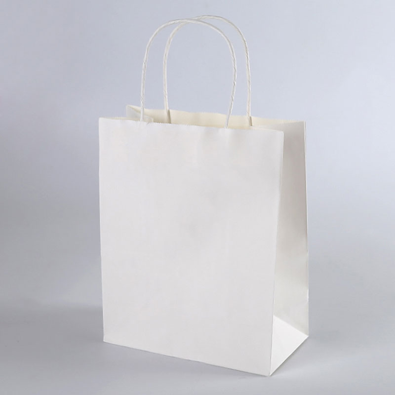 Printed Kraft Paper Bag - 7