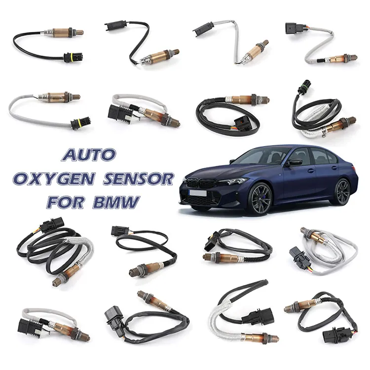 Oxygen Sensor