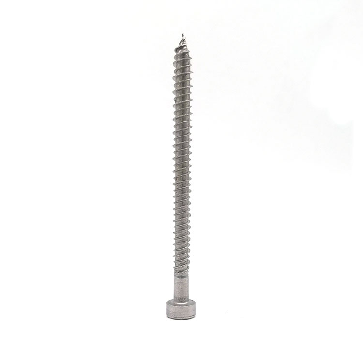 410 316 304 Stainless Steel Cap Head Self Tapping Screw