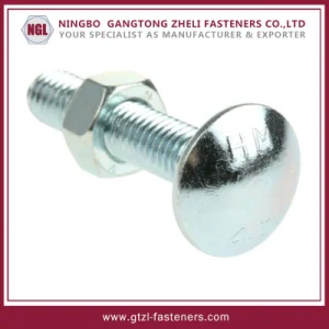 Carriage Bolt