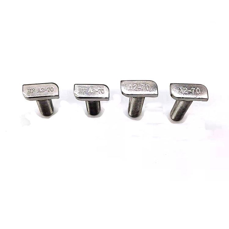 Stainless Steel SS304 316 A2 A4 T Bolt