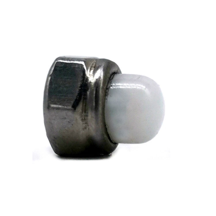 Stainless Steel SS304 316 Hexagon Domed White Nylon Cap Nuts