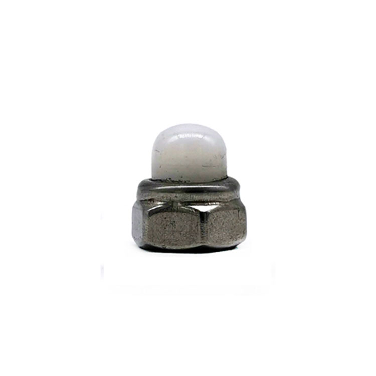 Stainless Steel SS304 316 Hexagon Domed White Nylon Cap Nuts - 3 