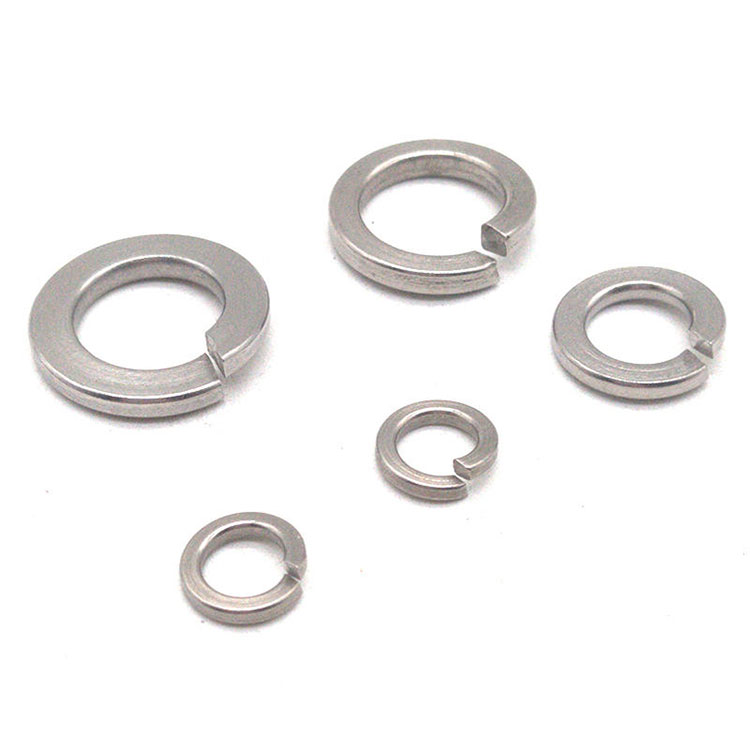 SS304 SS316 M6 M8 M12 M16 Stainless Steel Spring Washer - 3 