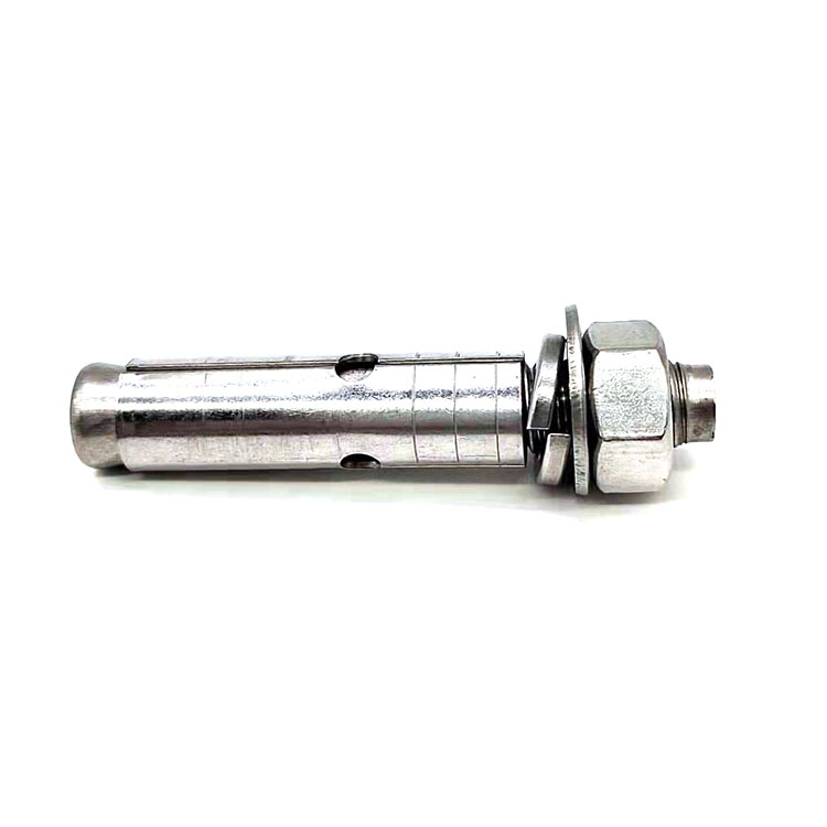 Stainless Steel Expansion Anchor Bolt - 1 