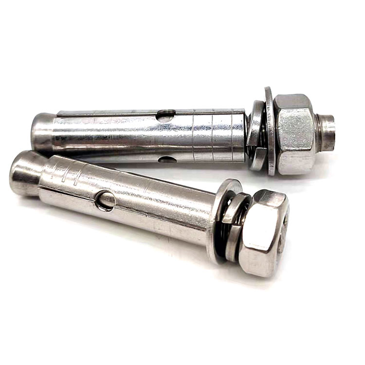 Stainless Steel Expansion Anchor Bolt - 4
