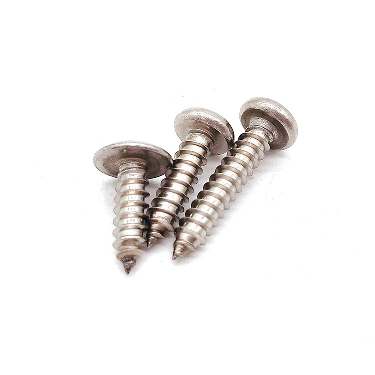 Stainless Steel SUS 201/304 Torx M2 Wood Self Tapping Screw