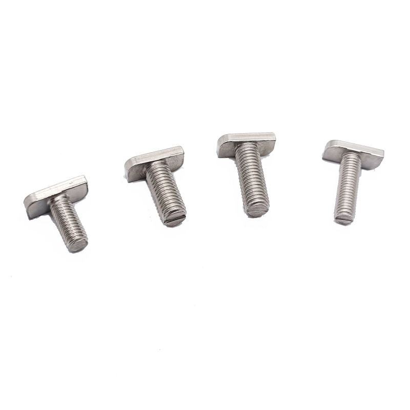 304 316 Stainless Steel M6 M8 M10 T Head Bolts for Aluminum Profile