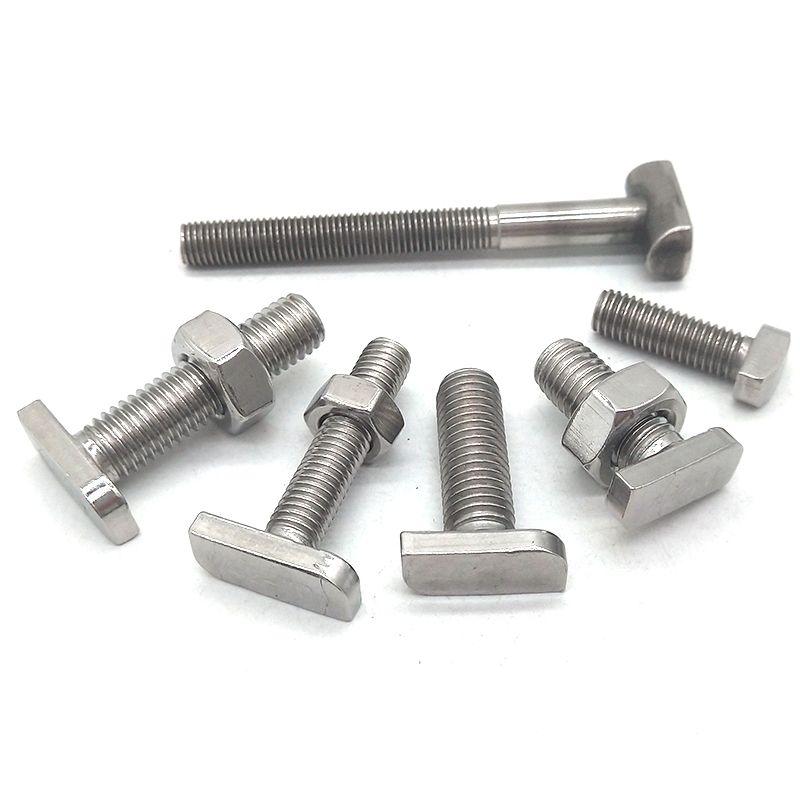Bolts And Fasteners Stainless Steeel T Head Bolt with Nut