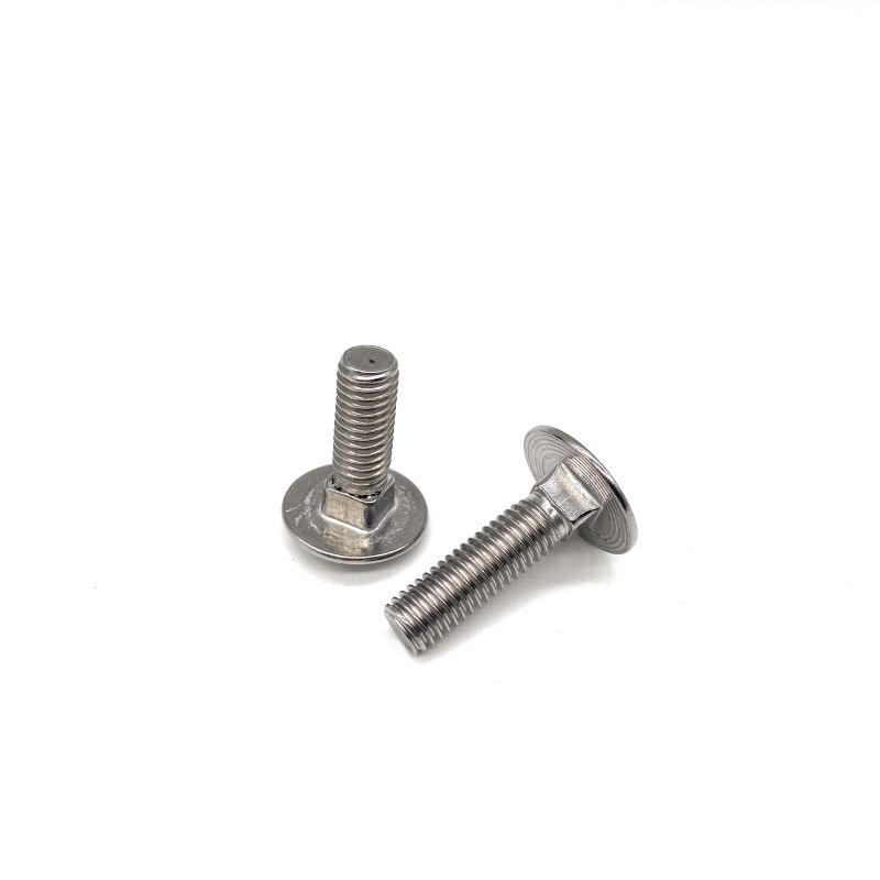 Stainless Steel Bolt with Square Neck DIN603 M10 M12 Carriage Bolt