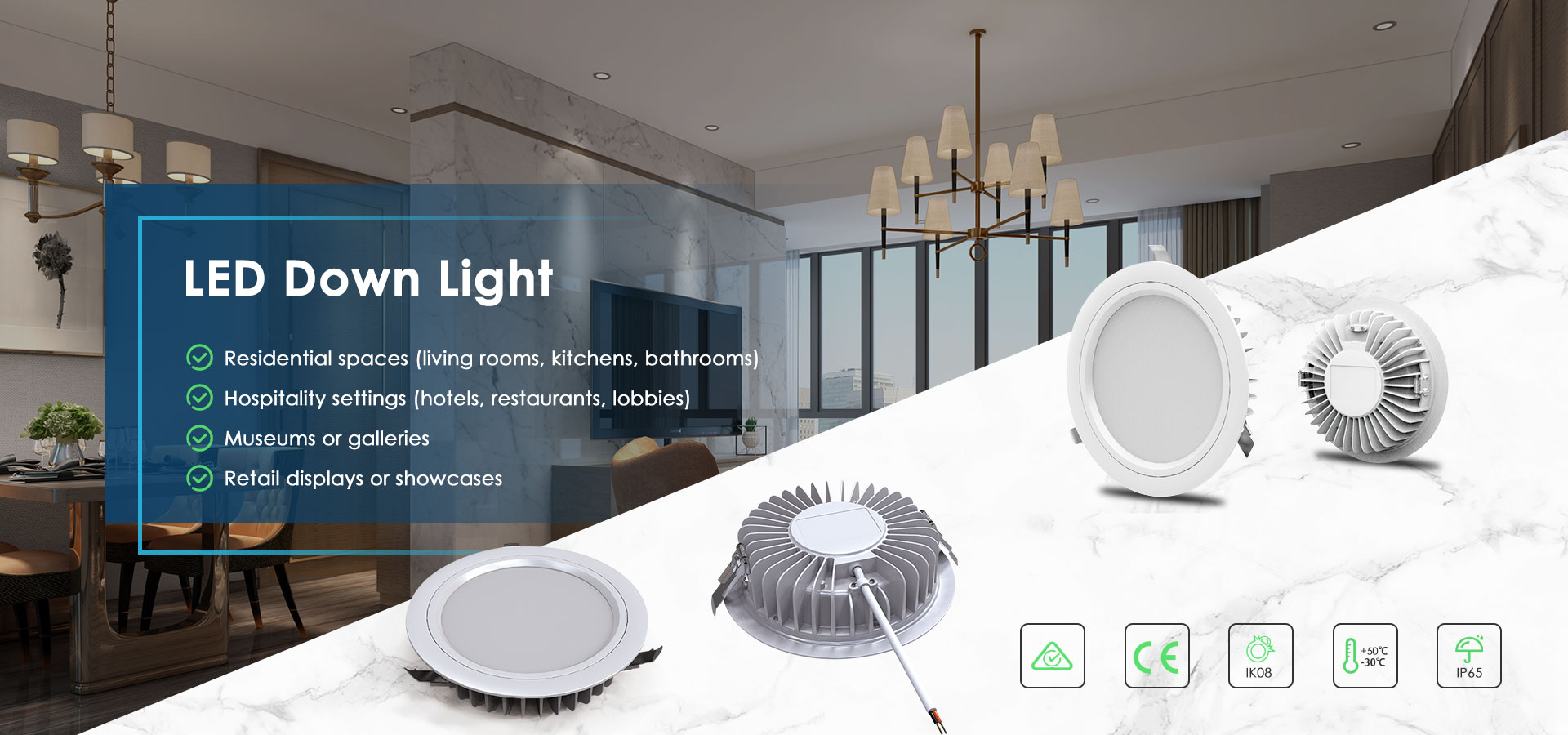 LED Down Light Supplier