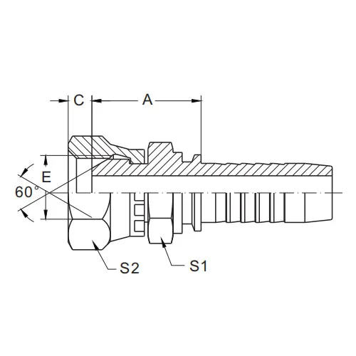 22611D BSP Nữ 60° Con dấu hình lục giác đôi