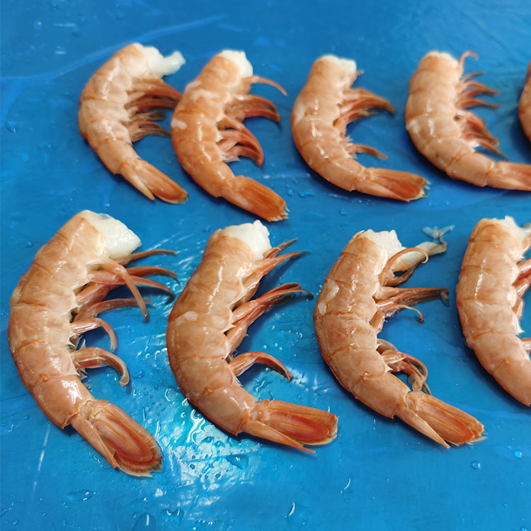 Frozen Argentinian Red Shrimp Shell on