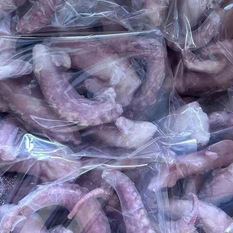 Tentáculo de calamar cocido indio congelado